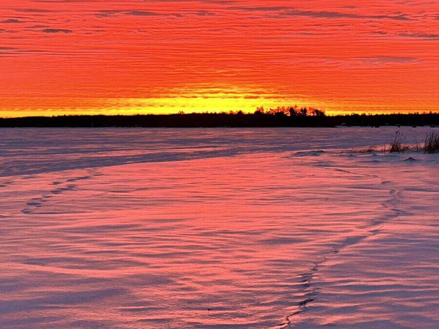 What’s Happening in Wisconsin: Your View and the Badger State Buzz (Jan. 19–25)