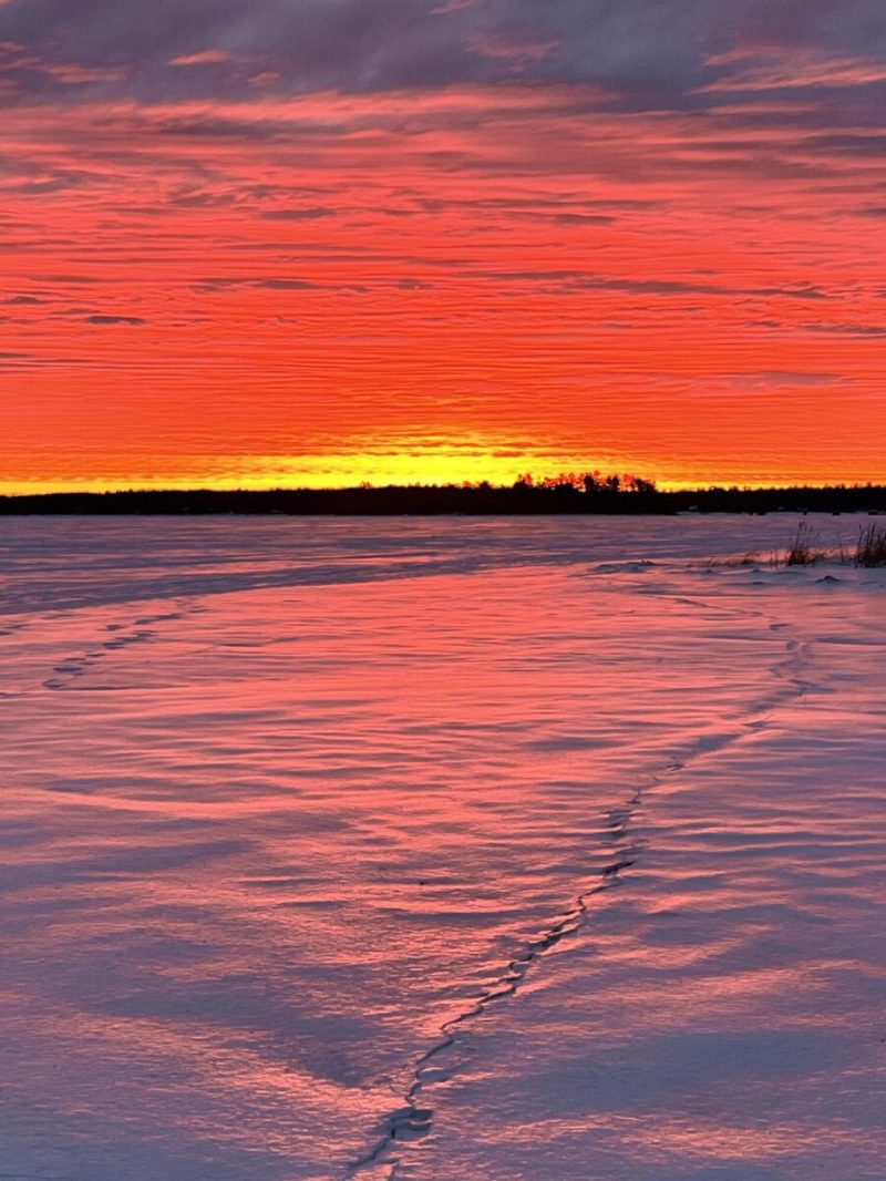 What’s Happening in Wisconsin: Your View and the Badger State Buzz (Jan. 19–25)