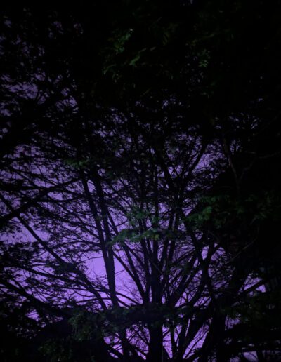 What’s Happening in Wisconsin: Your View and the Badger State Buzz (Jan. 12–18)