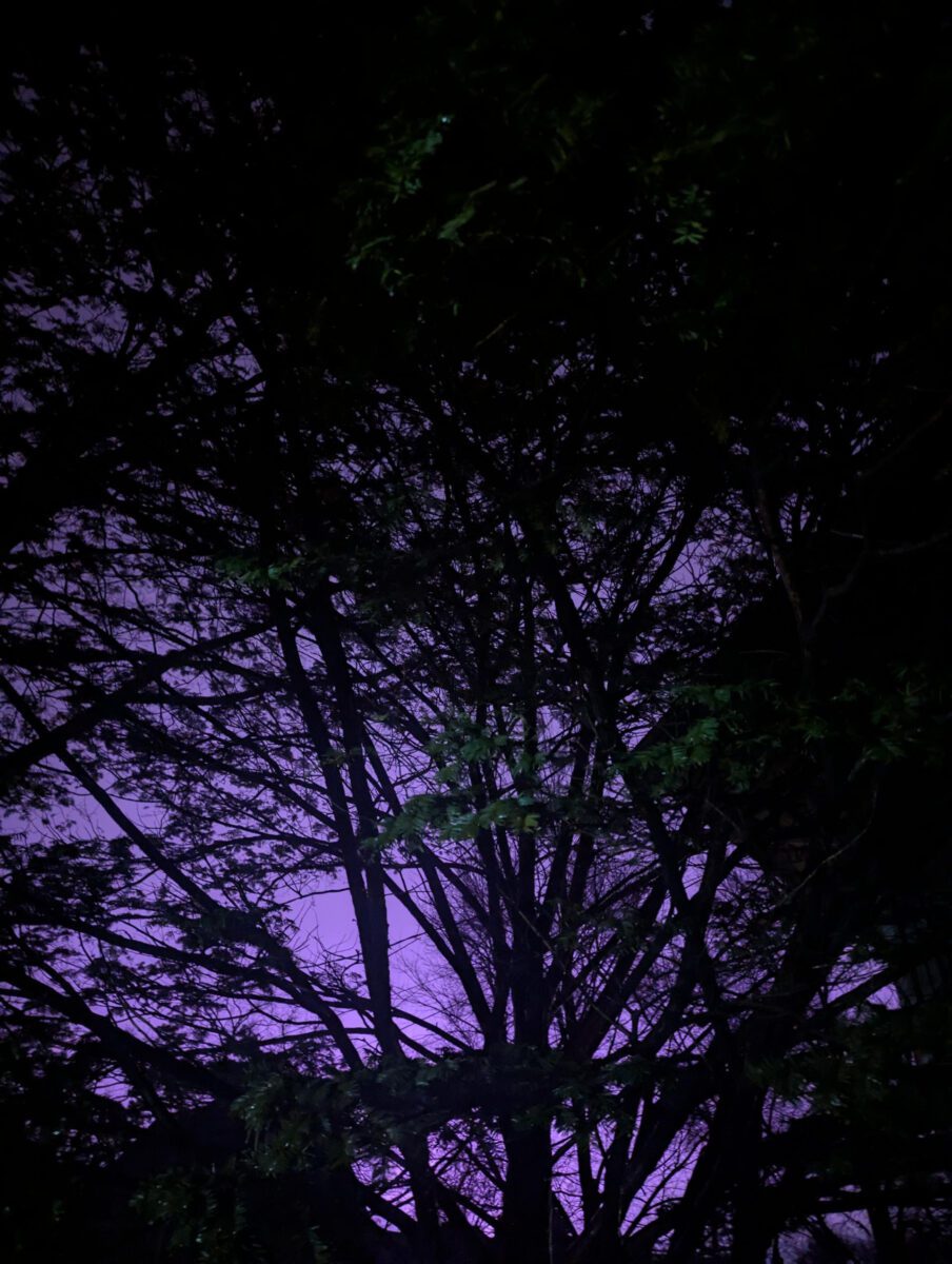 What’s Happening in Wisconsin: Your View and the Badger State Buzz (Jan. 12–18)