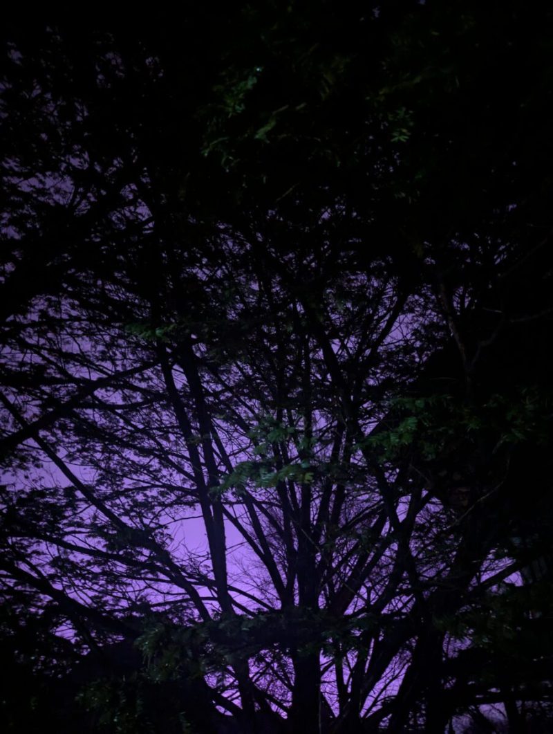 What’s Happening in Wisconsin: Your View and the Badger State Buzz (Jan. 12–18)