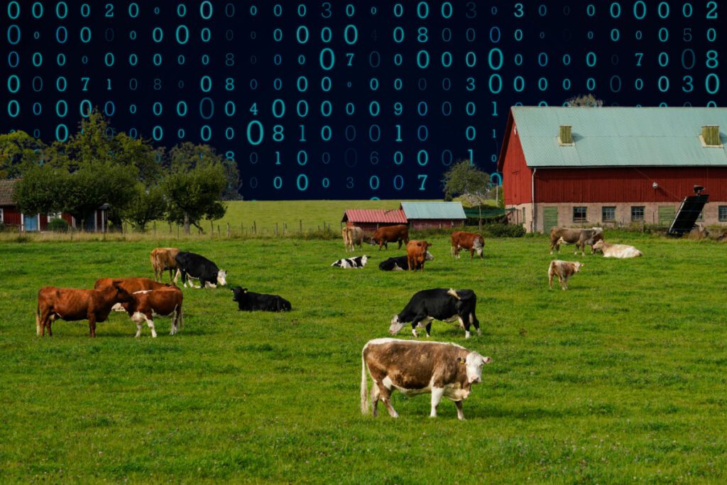 3 ways Wisconsinites can get involved as data centers try to creep into their communities