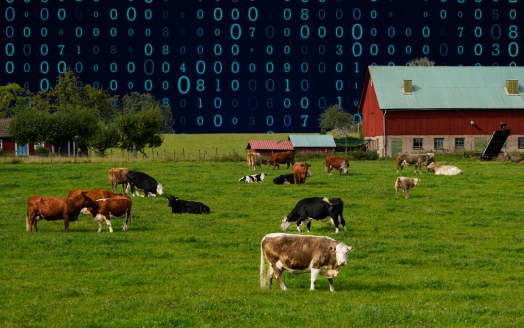 3 ways Wisconsinites can get involved as data centers try to creep into their communities