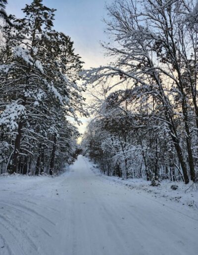 What’s Happening in Wisconsin: Your View and the Badger State Buzz (Jan. 5–11)