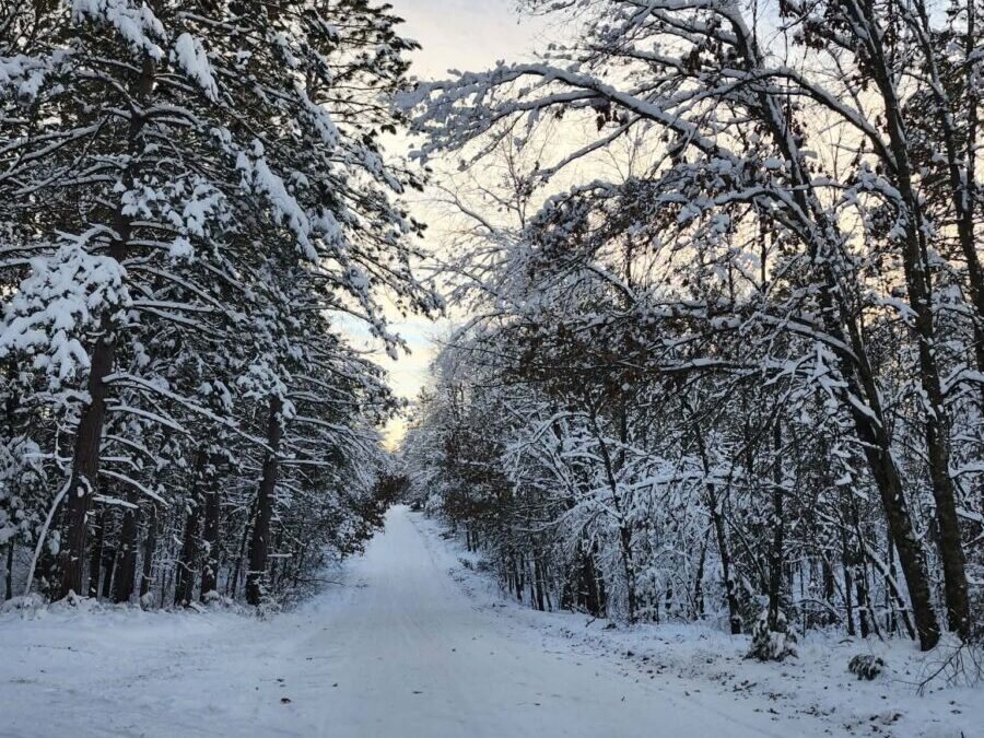 What’s Happening in Wisconsin: Your View and the Badger State Buzz (Jan. 5–11)