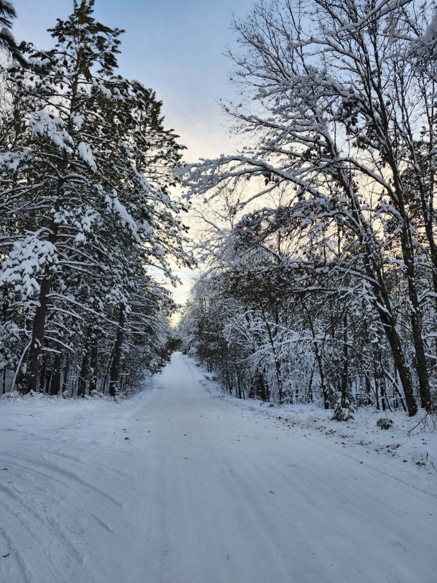 What’s Happening in Wisconsin: Your View and the Badger State Buzz (Jan. 5–11) What’s Happening in Wisconsin: Your View and the Badger State Buzz (Jan. 5–11)