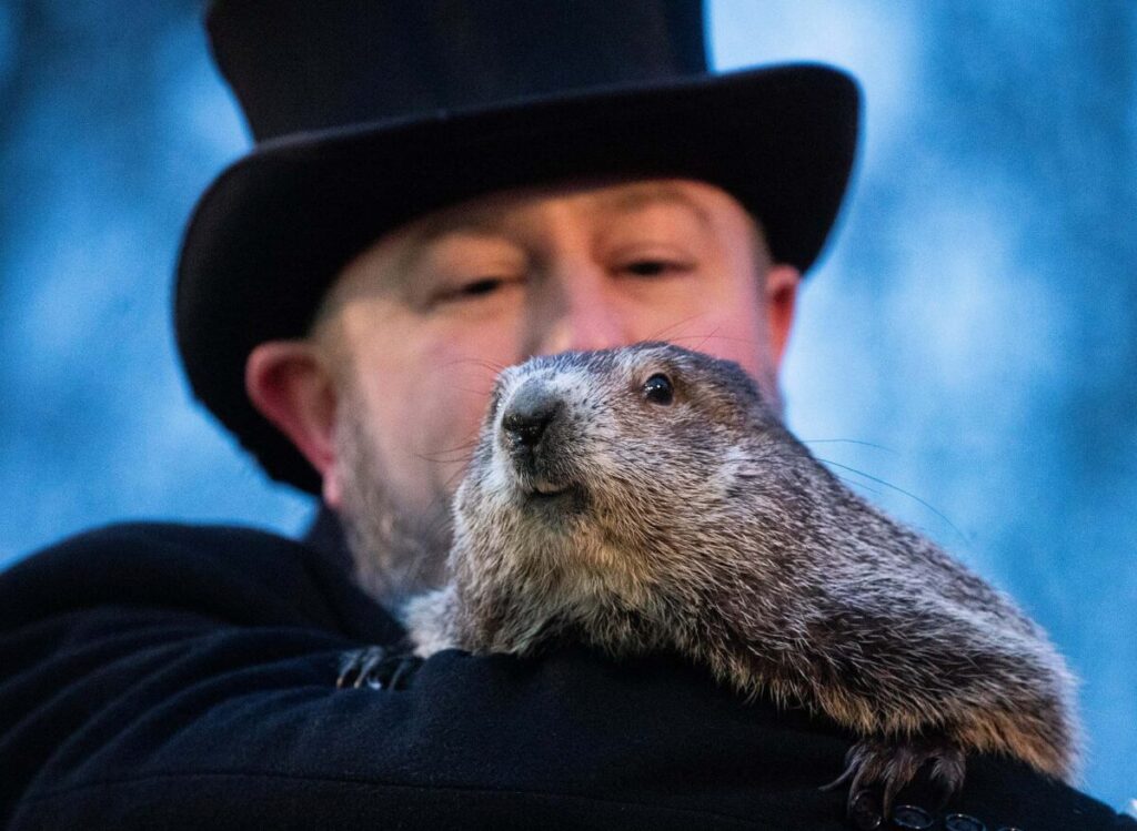 The tradition of having a groundhog predict the weather was based on the Pennsylvania Dutch superstition that if a groundhog sees its shadow after emerging from its burrow, it will go back inside the burrow because six more weeks of winter are on the way. I