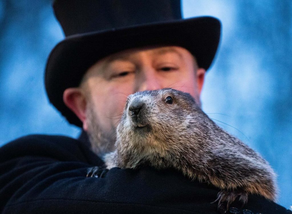 Meet Jimmy, Wisconsin’s own weather-predicting groundhog