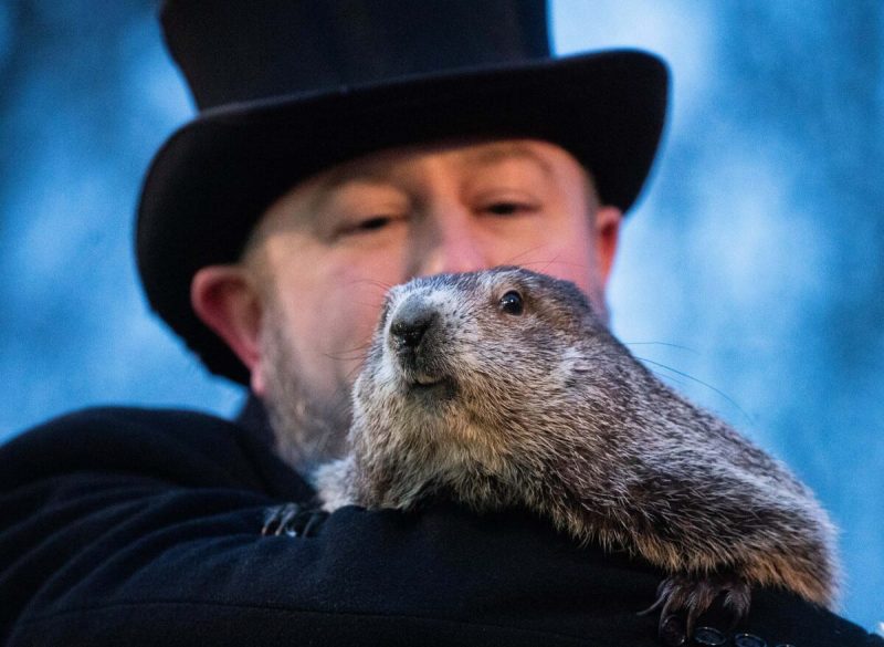 The tradition of having a groundhog predict the weather was based on the Pennsylvania Dutch superstition that if a groundhog sees its shadow after emerging from its burrow, it will go back inside the burrow because six more weeks of winter are on the way. I