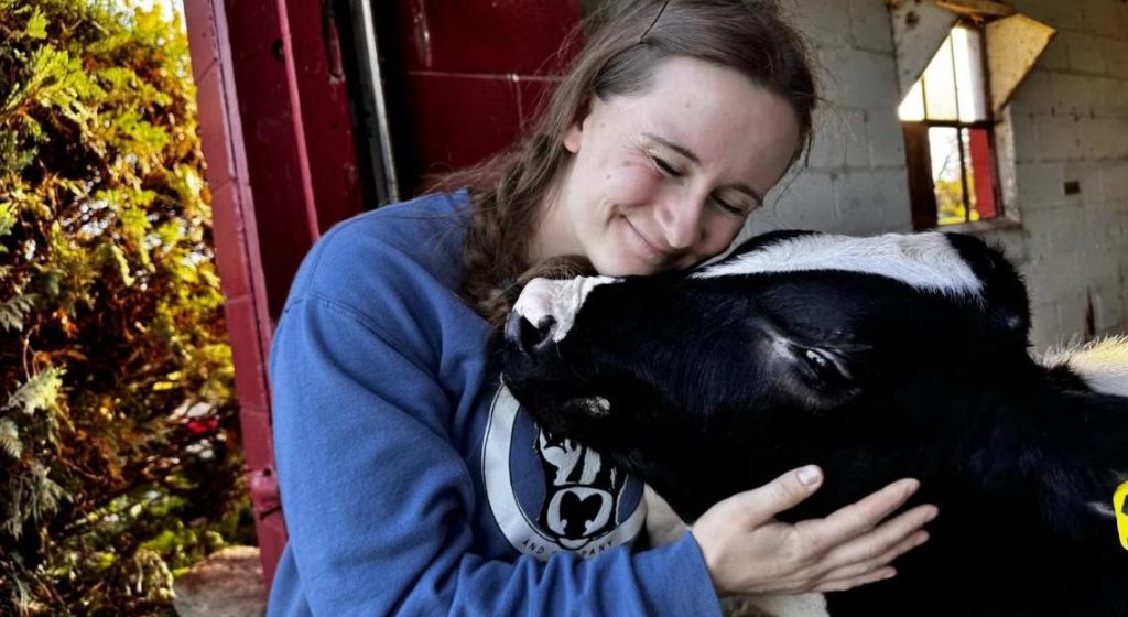 Cow cuddles and farm-churned ice cream are helping Midwest dairies thrive