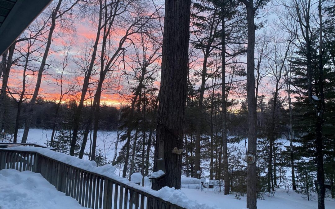 What’s Happening in Wisconsin: Your View and the Badger State Buzz (Feb. 9-15)