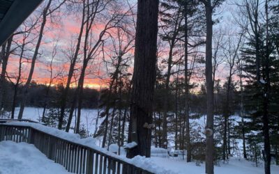 What’s Happening in Wisconsin: Your View and the Badger State Buzz (Feb. 9-15)