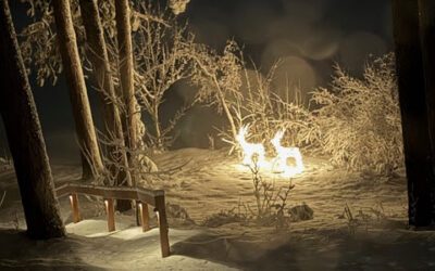 What’s Happening in Wisconsin: Your View and the Badger State Buzz (Feb. 23-March 1)