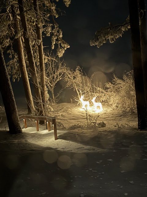 What’s Happening in Wisconsin: Your View and the Badger State Buzz (Feb. 23-March 1)