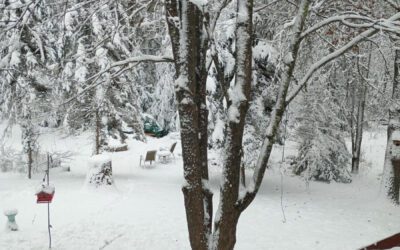 What’s Happening in Wisconsin: Your View and the Badger State Buzz (Feb. 16-22)