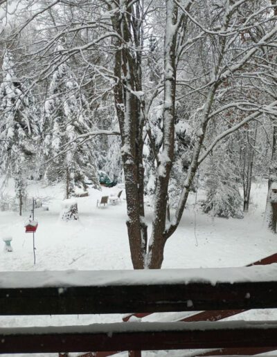 What’s Happening in Wisconsin: Your View and the Badger State Buzz (Feb. 16-22)