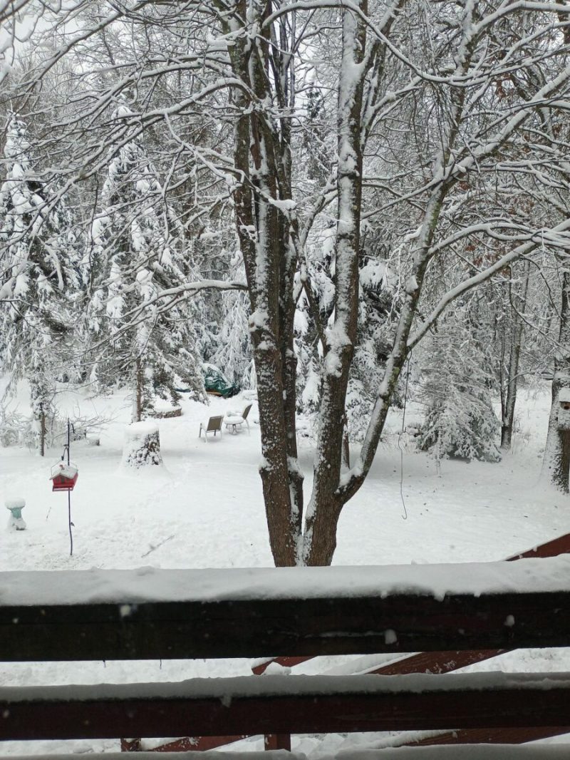 What’s Happening in Wisconsin: Your View and the Badger State Buzz (Feb. 16-22)