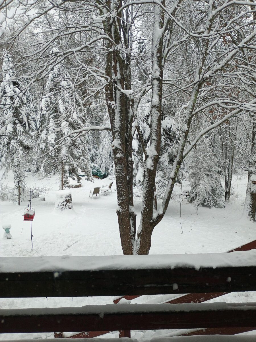 What’s Happening in Wisconsin: Your View and the Badger State Buzz (Feb. 16-22)