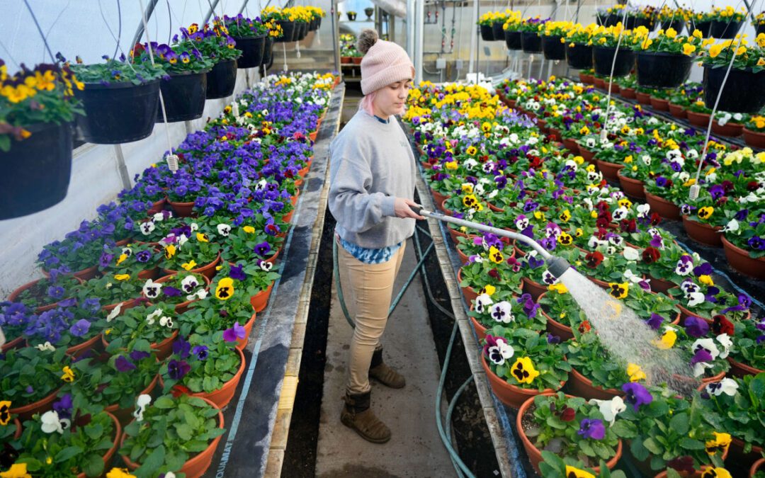 Will Wisconsin have a warm spring in 2026? What 4 different forecasts predict