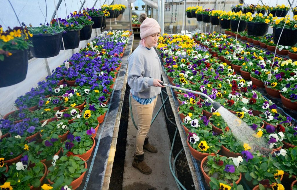 Will Wisconsin have a warm spring in 2026? What 4 different forecasts predict