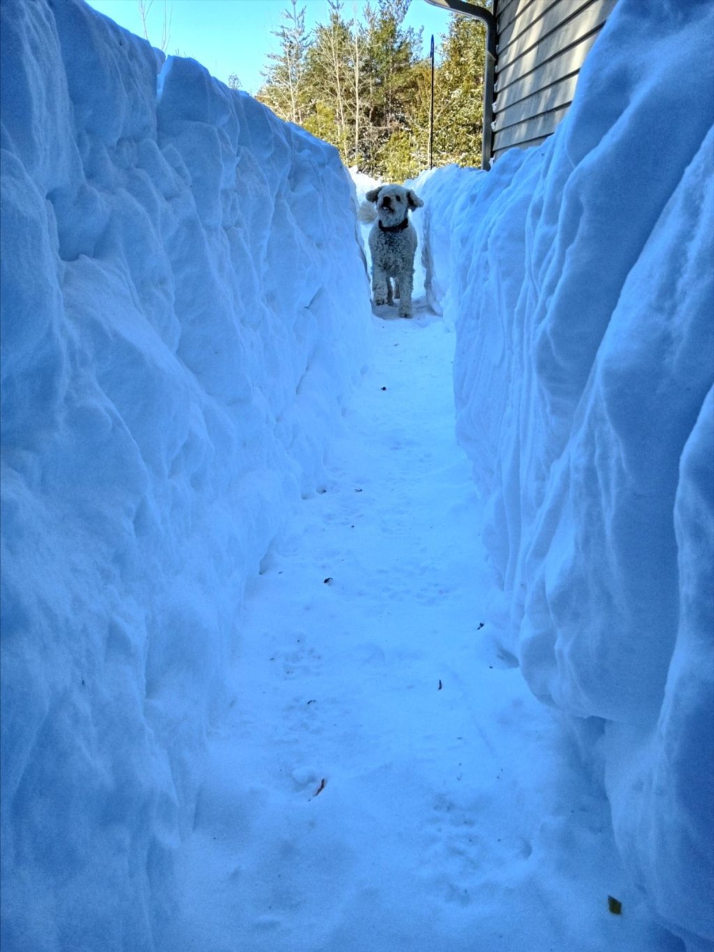 Final totals: Wisconsin digs out after March snow storm