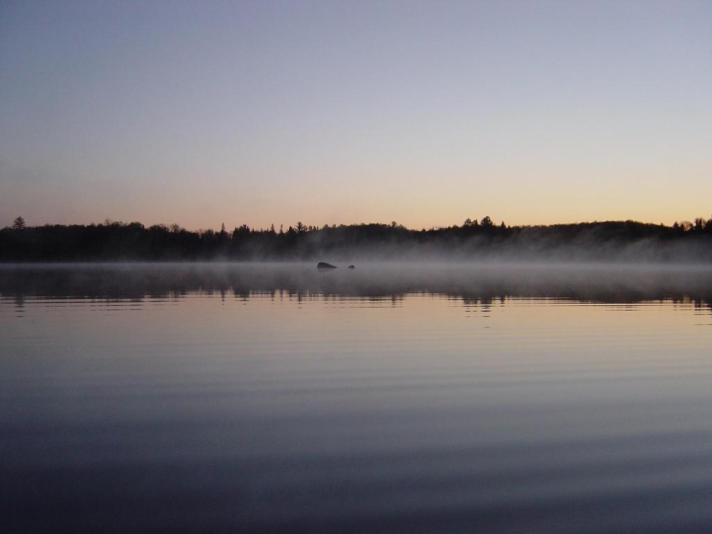Wisconsin’s best fish fries (according to you!)