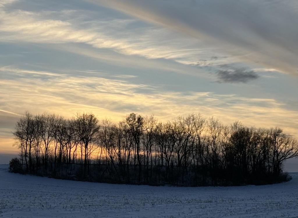 12 can’t-miss Wisconsin warm weather festivals