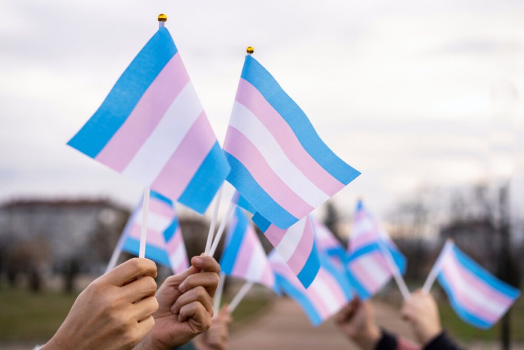 Transgender Day of Visibility (TDOV). Hands holdings transgender pride flag.