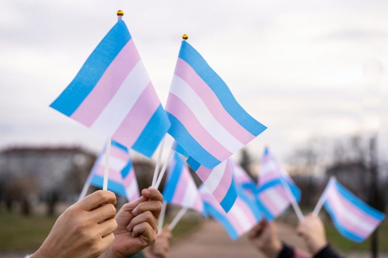 Transgender Day of Visibility (TDOV). Hands holdings transgender pride flag.