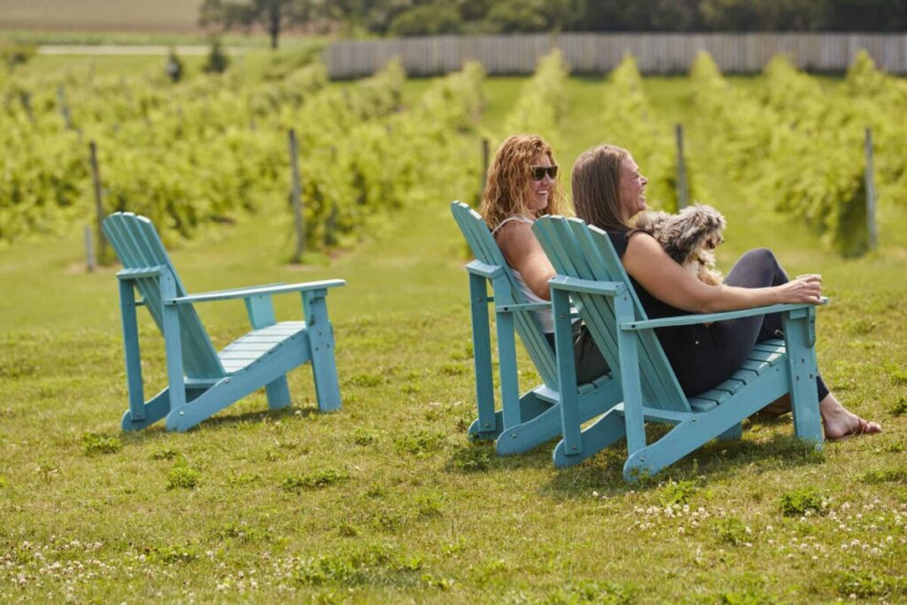 With so many parks, beaches, outdoor cafes, and boutique hotels run by friendly people, it’s no wonder that Door County, Wisconsin, is as welcoming to dogs as it is to humans.