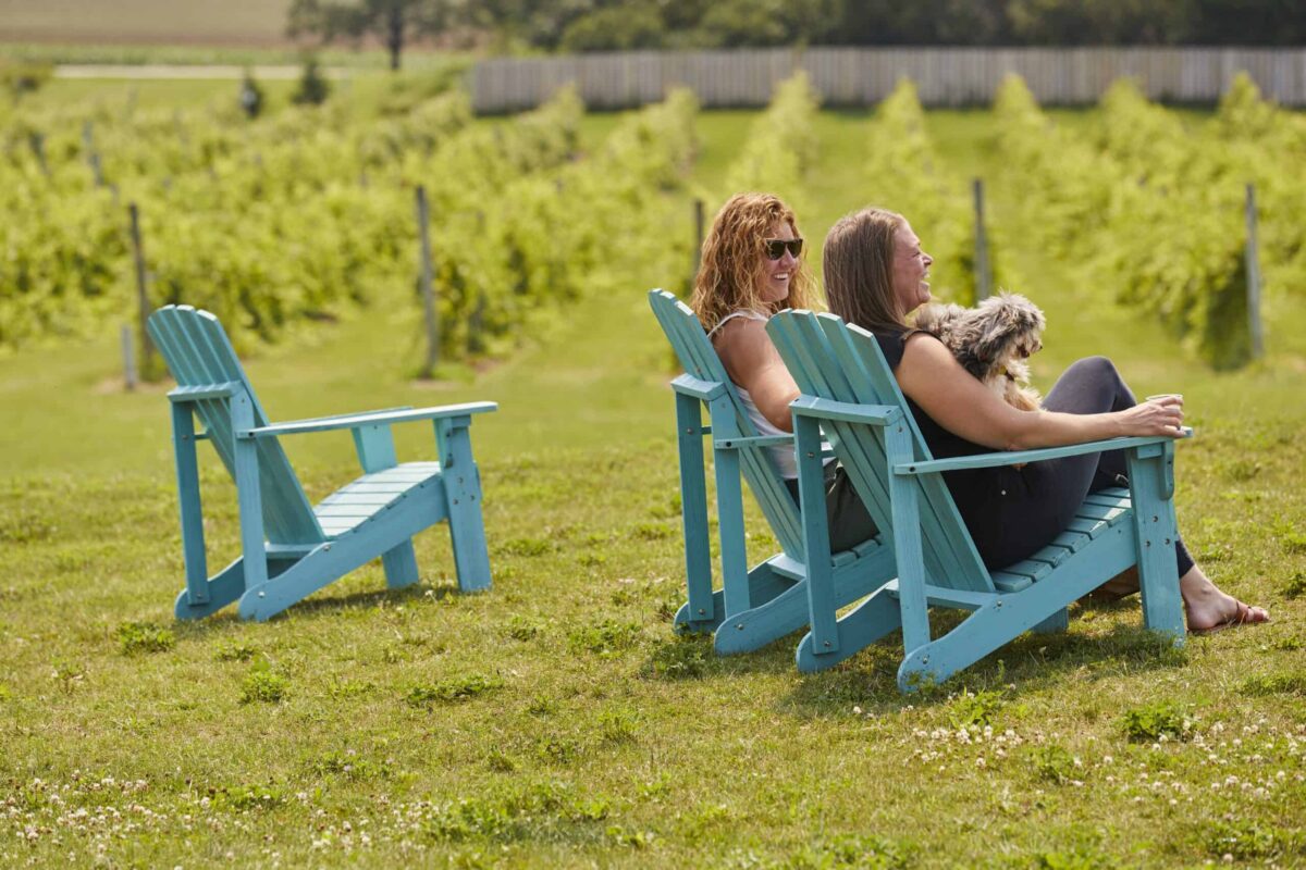 With so many parks, beaches, outdoor cafes, and boutique hotels run by friendly people, it’s no wonder that Door County, Wisconsin, is as welcoming to dogs as it is to humans.