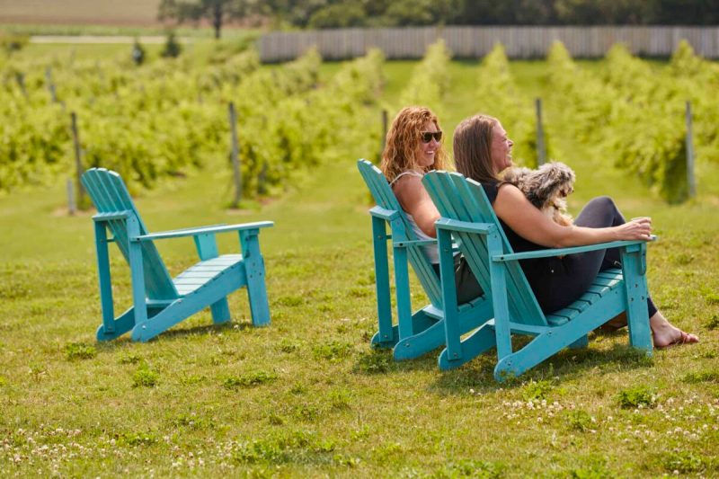 With so many parks, beaches, outdoor cafes, and boutique hotels run by friendly people, it’s no wonder that Door County, Wisconsin, is as welcoming to dogs as it is to humans.