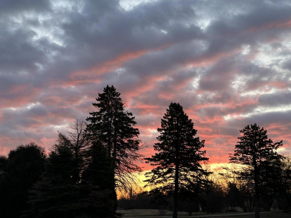 Ready to take action? Your ‘Do Something!’ calendar is here