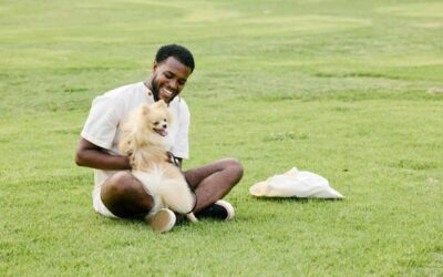 7 of the best dog parks in Milwaukee (+ dog-friendly beer gardens!)