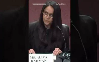 Watch: ‘I’m disabled’: Woman recounts being dragged from her car by ICE on way to doctor’s appointment