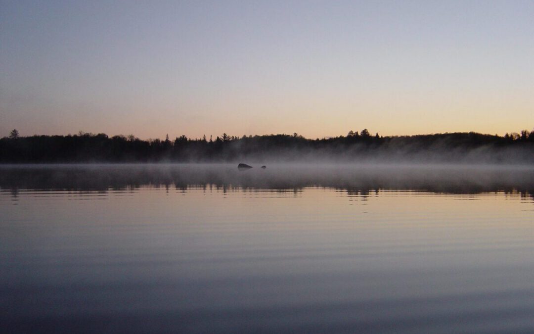 What’s Happening in Wisconsin: Your View and the Badger State Buzz (March 2-8)