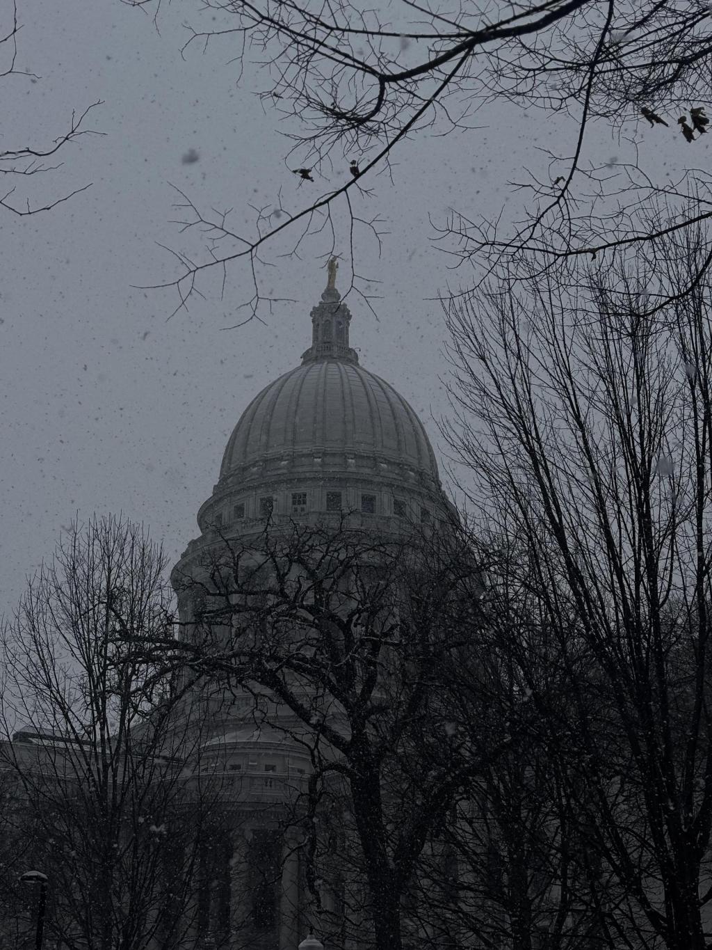 10 must-visit animal sanctuaries across Wisconsin