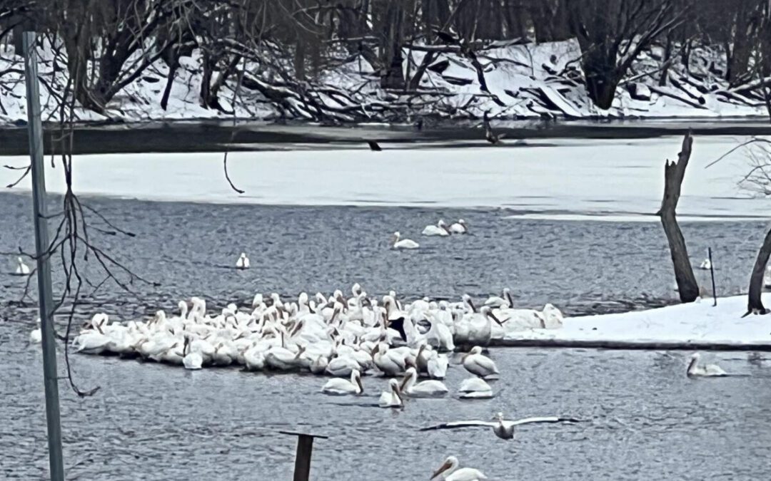 What’s Happening in Wisconsin: Your View and the Badger State Buzz (March 23-29)