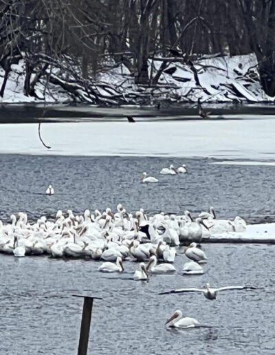 What's Happening in Wisconsin: Your View and the Badger State Buzz (March 23-29)