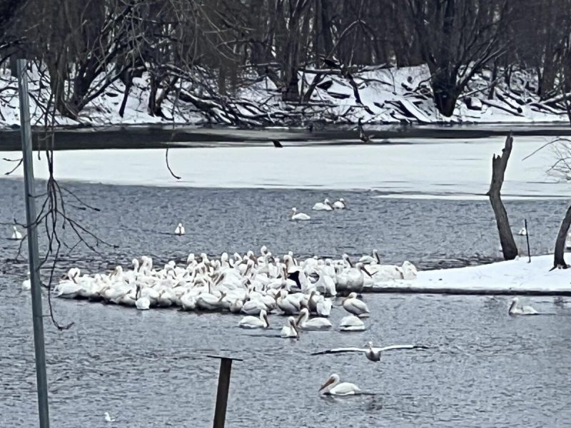 What's Happening in Wisconsin: Your View and the Badger State Buzz (March 23-29)