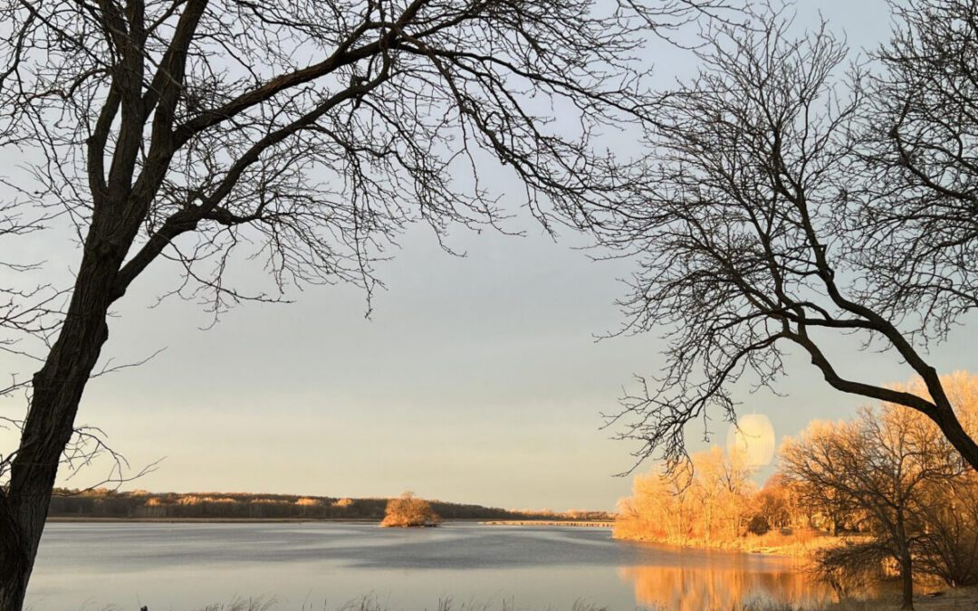 What’s Happening in Wisconsin: Your View and the Badger State Buzz (March 16-22)