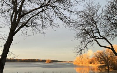 What’s Happening in Wisconsin: Your View and the Badger State Buzz (March 16-22)