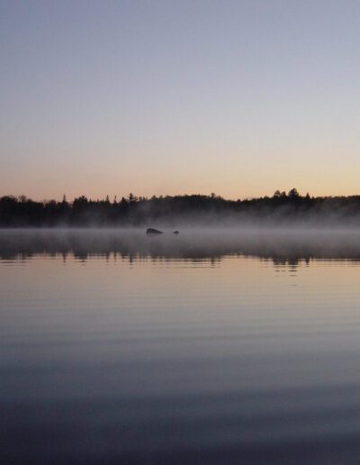 What’s Happening in Wisconsin: Your View and the Badger State Buzz (March 2-8)