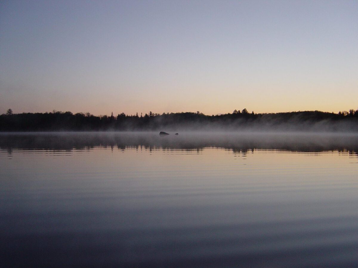 What’s Happening in Wisconsin: Your View and the Badger State Buzz (March 2-8)