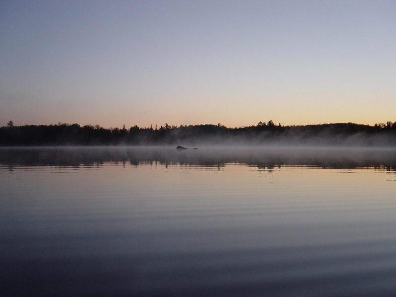 What’s Happening in Wisconsin: Your View and the Badger State Buzz (March 2-8)