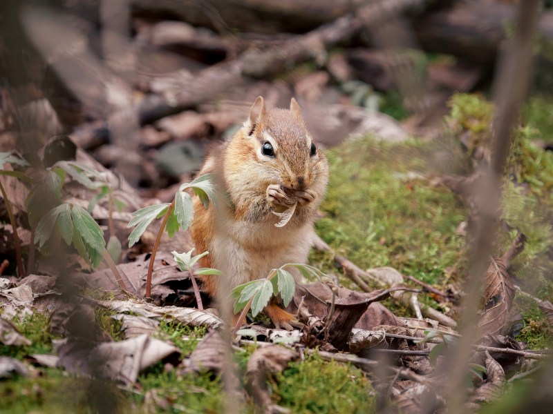 What’s happening in Wisconsin: Badger State Buzz (May 4-10)