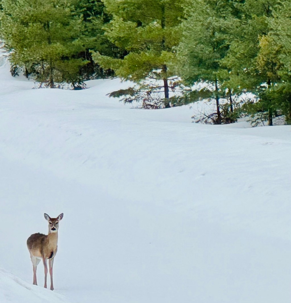 Where tornado warnings strike most in Wisconsin