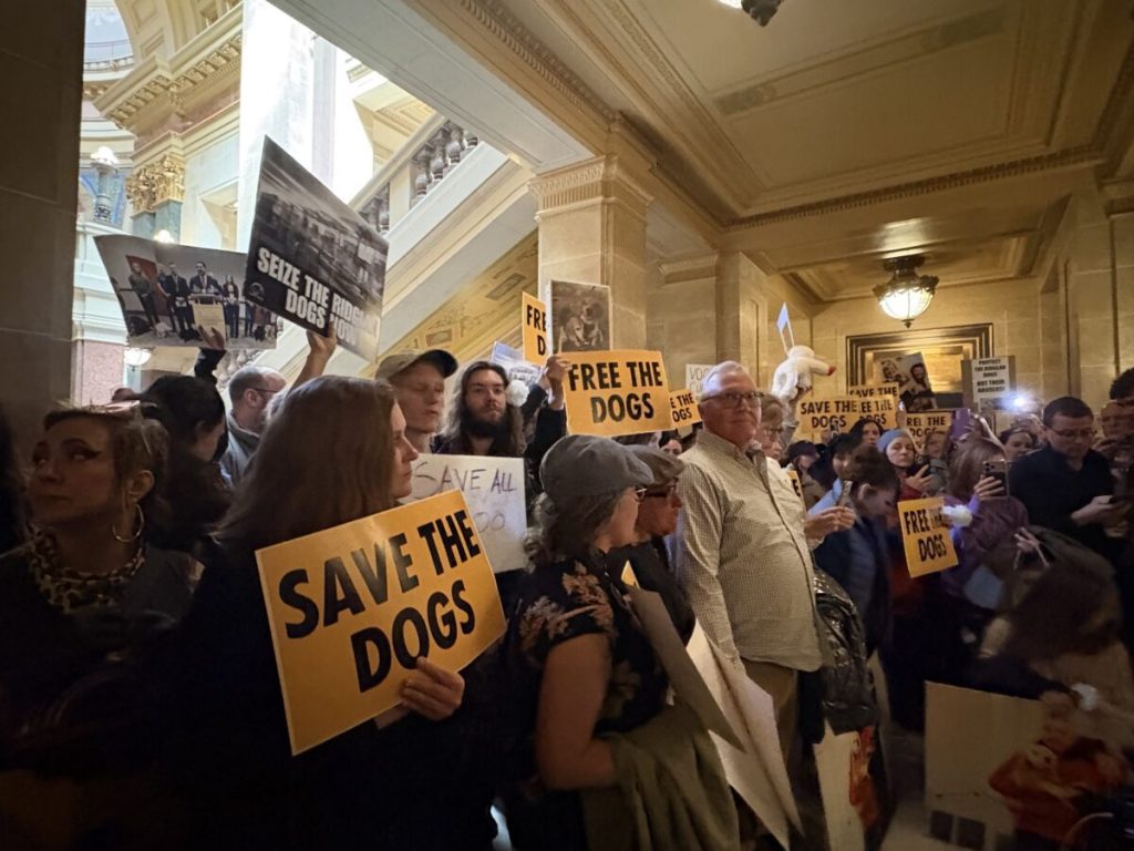 Animal activists take protests over Ridglan Farms beagles to Capitol