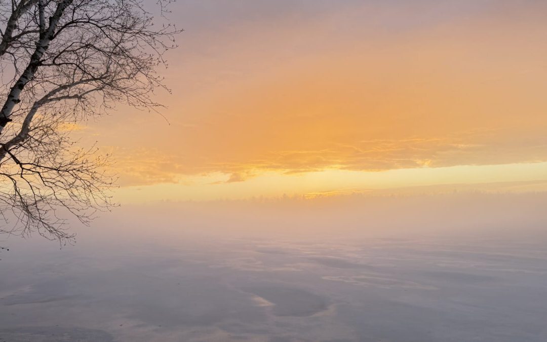 What’s Happening in Wisconsin: Your View and the Badger State Buzz (April 13-19)