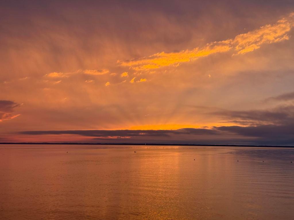 Your weekly guide to taking action in Wisconsin